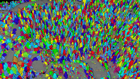 1727187793163676.gif 15 00_00_00-00_00_30~2.gif